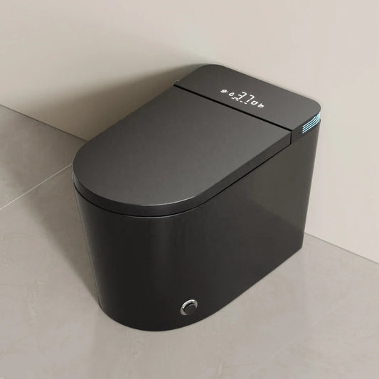 Smart Ceramic Toilet with Bidet